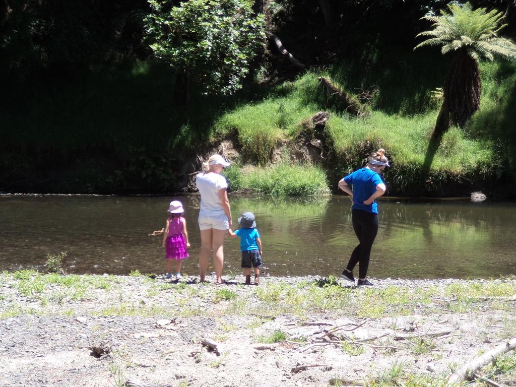Earthsounds Country Cottage Taumarunui Ruang foto